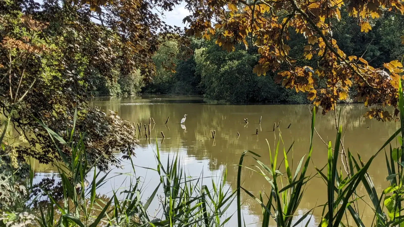 Uitzicht tijdens het wildplukken in het Delftse Hout